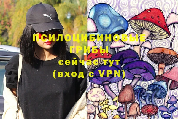 гашиш Богородицк