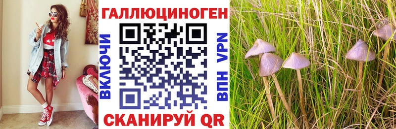цены наркотик  Пыть-Ях  MEGA рабочий сайт  Псилоцибиновые грибы Psilocybine cubensis 