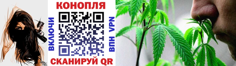 купить наркотики сайты  Пыть-Ях  Бошки Шишки конопля 